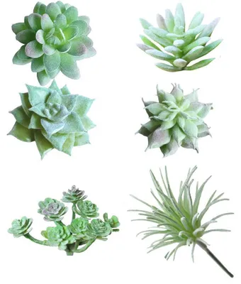 Produktbild von Mini-Sukkulenten, künstliche Sukkulenten, unbepflanzt in einem grünen Blumenarrangement, 6 Stück