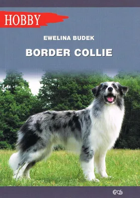 Obrázok produktu pre Border Collie (wyd. 2020)