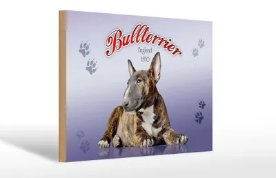 Produktbild von Holzschild Hund 30x20cm Bullterrier England 1850
