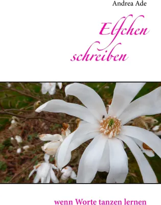 Produktbild von Elfchen schreiben