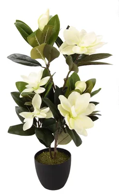 Zdjęcie produktu dla Magnolia w doniczce, sztuczna roślina do dekoracji
