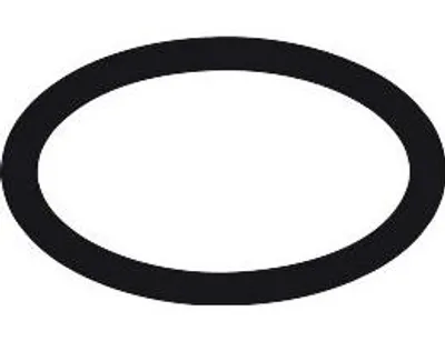 Zdjęcie produktu dla Hansgrohe O-Ring 40x4mm