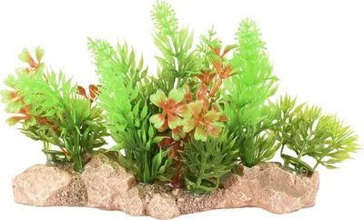 Produktbild von Ad umbra Aquarienpflanze 15x7x10 cm für Aquarium