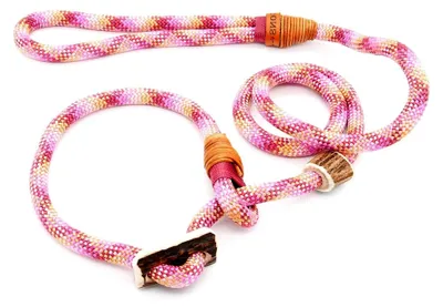 Produktbild von Retriever-Leine/Moxonleine Elegant-Style | handgefertigte Hundeleine aus Tau mit Halsbandfunktion & Horn-Stopper | 10mm – kraftvoll, stilvoll & komfortabel | Training, Alltag & Spaziergang