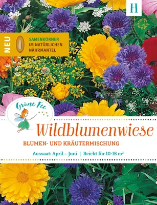 Produktbild von Grüne Fee - easySeed Wildblumenwiese Streuschachtel Blumenmischung Blumen- und Kräutermischung Samen - 19612