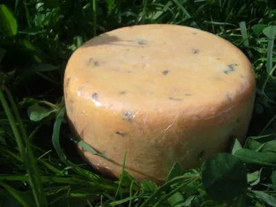 Immagine prodotto di Formaggio a latte crudo con aglio orsino, circa 700 g. Neuhaushof