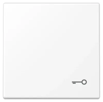 Produktbild von Jung Wippe 1-fach, Symbol Tür, Duroplast lackiert, Serie LS, schneeweiß matt, 1 Stk.