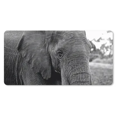 Produktbild von MuchoWow® Mauspad Mousepad Elefant - Tiere - Schwarz - Weiß - Natur 60x30 cm - Mousepads - Maus Mat - Pad - Mausunterlage - Nachhaltig