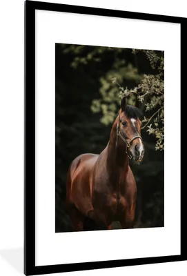 Produktbild von MuchoWow® MuchoWow® Gerahmtes Poster Pferd - Äste - Porträt 60x90 cm - Poster mit zchwarzem Bilderrahmen - Dekoration - Wandposter Wohnzimmer - Hochwertig