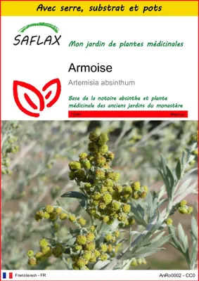 Image de SAFLAX Ensemble de culture - Armoise - 500 graines - Artemisia