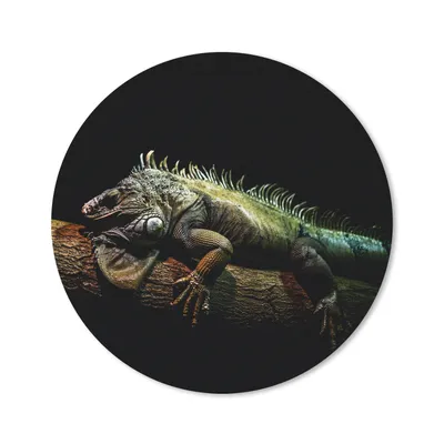 Produktbild von MuchoWow® Mauspad Mousepad Tier - Zweig - Schwarz 30x30 cm - Mousepads - Maus Mat - Pad - Mausunterlage - Tischunterlage - Schreibtischmatten