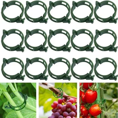 Produktbild von Famanu Pflanzensteunclips - Unterstützung für Tomatenpflanzen - Pflanzenclips für Kletterpflanzen - Grün