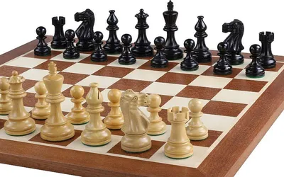 Obrázok produktu pre Klasická čierna turnajová súprava (48 x 48 cm)