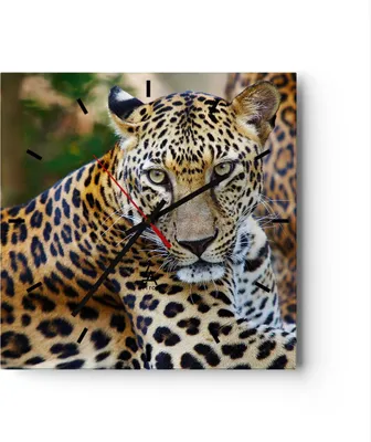 Produktbild von Wanduhr - Quadrat - Glasuhr - Leopardpanther Katze Tier Savanne - 40x40cm - Schleichendes Uhrwerk - Lautlos - zum Aufhängen bereit - Dekoration Modern - Wanddekoration aus Glas - C3AC40x40-0402