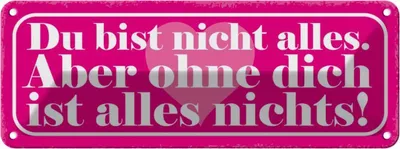 Produktbild von vianmo Blechschild 10x27 cm du bist nicht alles aber ohne Dekoration Spruch Zitat