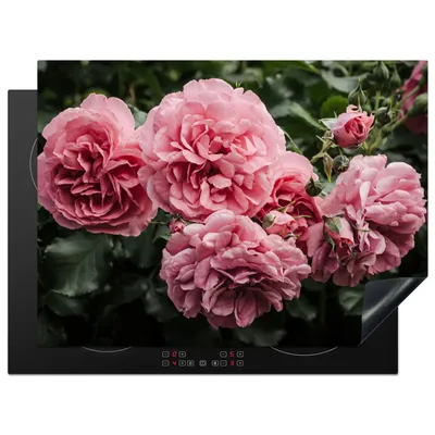 Produktbild von KitchenYeah© Herdabdeckplatte Rosa - Blumen - Rosen , 71x52cm, Küche Deko, Glaskeramikkochfeld Herdabdeckung, Abdeckplatte fùr Kochfeld