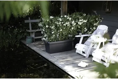 Image de Jardinière Elho Green Basics XXL, 29,5 x 59,2 x 27,7 cm, Extérieur, Noir