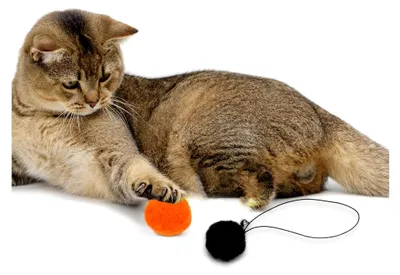 Produktbild von Interaktive Plüschbälle mit Glöckchen für Katzenkratzbäume, 4 Stück zum Aufhängen