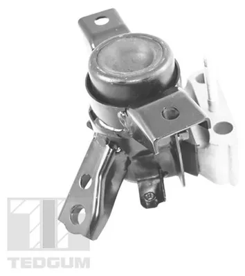 Produktbild von TEDGUM Motorlager Hydrolager für TOYOTA RAV 4 III (ACA3, ACE, ALA3, GSA3, ZSA3) TED13922