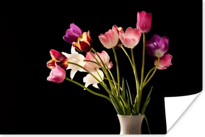 Produktbild von MuchoWow® Poster Tulpen - Stilleben - Blumen 120x80 cm - Bilder