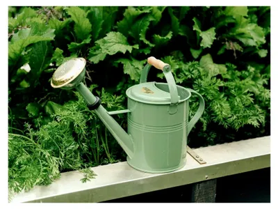 Produktbild von Gießkanne 5 Liter, grün