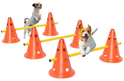 Produktbild von PawHut Agility Set Hunde 3-teiliges Agility Ausrüstung 6 Kegel Orange