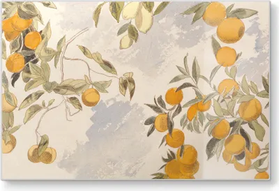 Produktbild von DEQORI Schneidebrett Glas 30x20 cm 'Orangenpracht' Schneideplatte Servierplatte groß