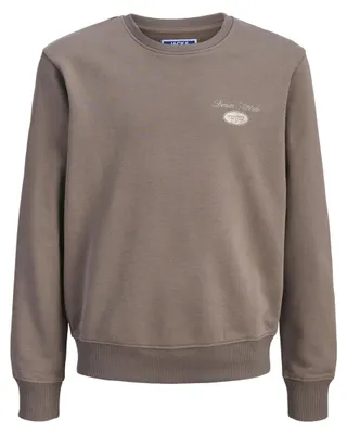 Produktbild von JACK & JONES Jjedover Graphic Sweat Crew Neck Jnr