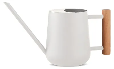 Immagine prodotto di Annaffiatoio in acciaio inossidabile con beccuccio lungo per piante - 1 litro