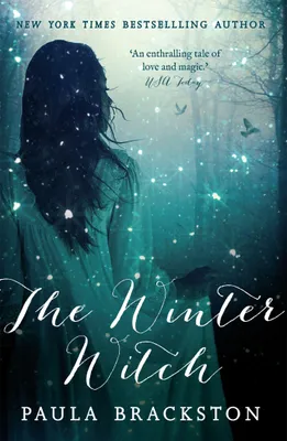 Produktbild von The Winter Witch