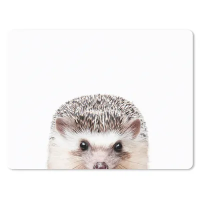 Produktbild von MuchoWow® Mauspad Mousepad Igel - Tiere - Natur - Weiß 40x30 cm - Mousepads - Maus Mat - Pad - Mausunterlage - Anti Rutsch