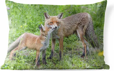 Produktbild von MuchoWow® Outdoor Kissen - Füchse - Kind - Gras - 60x40 cm - Wetterfest - Lounge Kissen - Zierkissen - Kissen für Innenräume