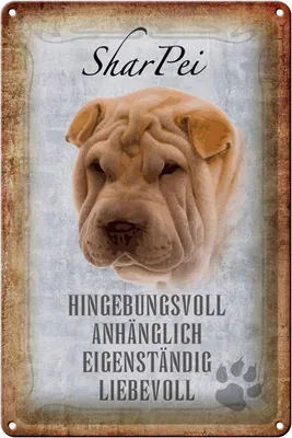 Produktbild von Blechschild Spruch 20x30cm Shar Pei Hund Schild