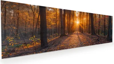 Produktbild von Glasbild 120x40cm in XXL für Wohnzimmer, Schlafzimmer Motiv Sonnenuntergang Wald