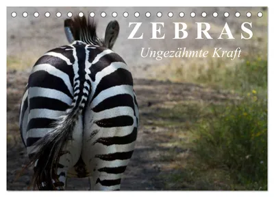 Produktbild von Zebras - Ungezähmte Kraft (Tischkalender 2027 DIN A5 quer), CALVENDO Monatskalender