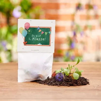 Image de 5 boules de fleurs dans un sachet « Tu es en 1ère classe » - Cadeau de rentrée