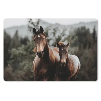 Produktbild von MuchoWow® Schreibtischunterlage Pferd - Fohlen - Natur 60x40 cm - XXL Mauspad - Großes Mauspad