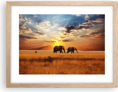 Produktbild von Gerahmtes Poster - Rahmen in heller Eiche - Elefanten Safari Dschungel Busch - 40x30 cm - Wand Bild - Wanddeko - Wandbilder - Wandposter - Bilderrahmen - Bilder - Kunstdruck - P2NAA40x30-3150