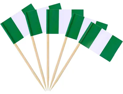 Produktbild von Zahnstocherflaggen Nigeria 200 Stück Papier Holz 3,5 x 2,5 cm
