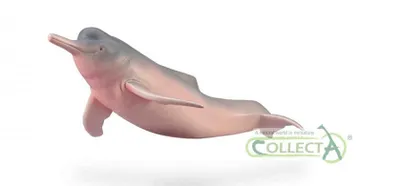 Produktbild von Collecta 88994 Amazonasdelfin 14 cm Wassertiere