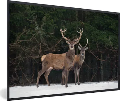 Produktbild von MuchoWow® MuchoWow® Gerahmtes Poster Rotwild - Schnee - Wald 60x40 cm - Poster mit zchwarzem Bilderrahmen - Printing - Wanddeko Schlafzimmer