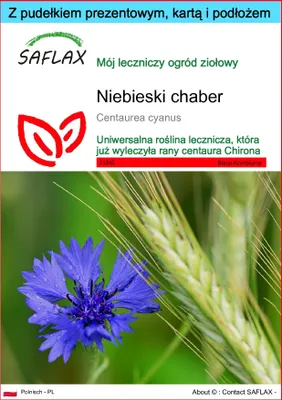 Zdjęcie produktu dla SAFLAX - Zestaw prezentowy - Niebieski chaber - 27000 Nasiona - Z pudełkiem upominkowym, etykietą wysyłkową, kartą podarunkową i podłożem uprawowym - Centaurea cyanus