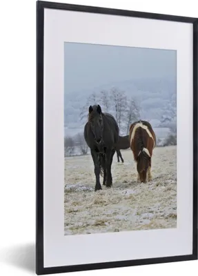 Produktbild von MuchoWow® Gerahmtes Poster Pferde - Schnee - Weiß 40x60 cm - Poster mit Schwarzem Bilderrahmen Wandposter Rahmen Foto Bilder - Poster in Rahmen