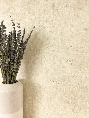 Produktbild von NEWROOM Tapete Dunya Beige Vliestapete - Modern Beton Unifarbe  Germany