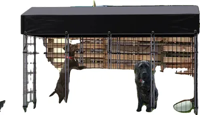 Immagine prodotto di Cuccia grande per cani, protezione UV, copertura impermeabile, nera, S 47,2x50x64,9in
