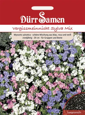 Produktbild von Dürr-Samen - Vergissmeinnicht Sylva Mix gelb mit Auge zweijährig 20 cm - Saatgut - 1435