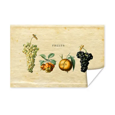 Produktbild von MuchoWow® Poster Obst - Weintraube - Weinlese 180x120 cm - Fotoplakat