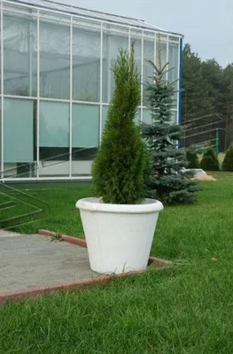 Zdjęcie produktu dla Donice, pojemniki do roślin, dekoracje, figurki, doniczki, ogród, wazony, pojemniki – 559