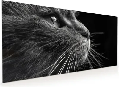 Produktbild von Küchenrückwand Spritzschutz Glas mit Motiv Nahaufnahme Katze 40 x 40 cm