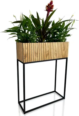 A planter with plants on a white background.